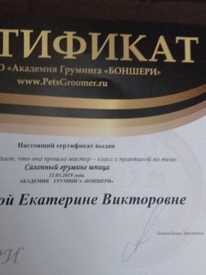 Фото врача Луховцева Екатерина