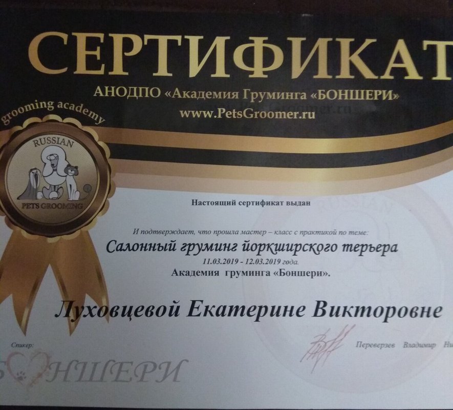 Документ или сертификат