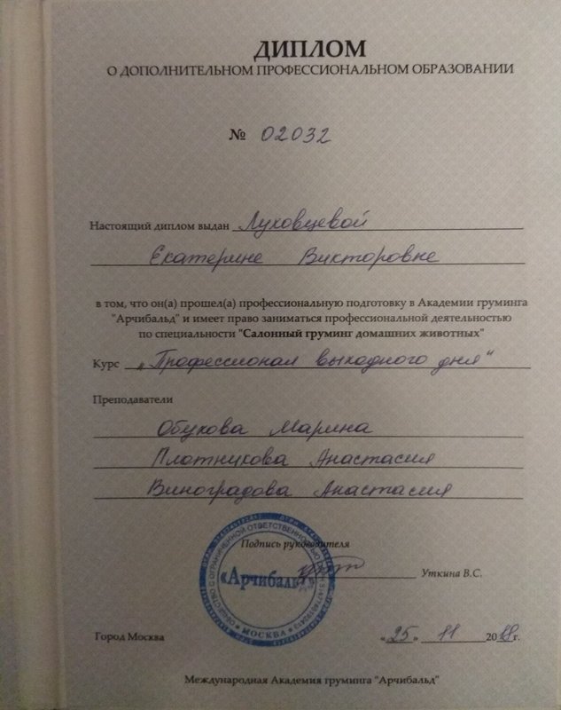 Документ или сертификат