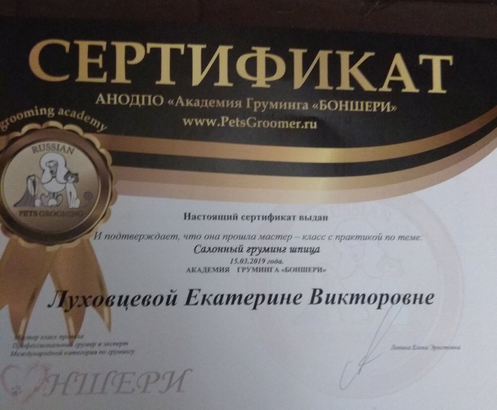 Документ или сертификат
