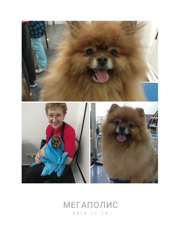 Фото врача