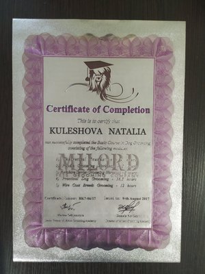 Фото врача Кулешова Наталья