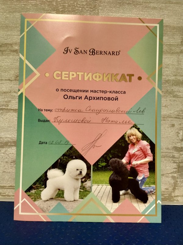 Документ или сертификат