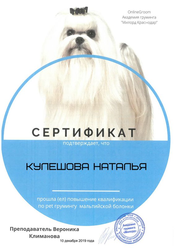 Документ или сертификат