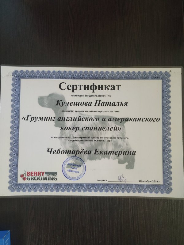 Документ или сертификат
