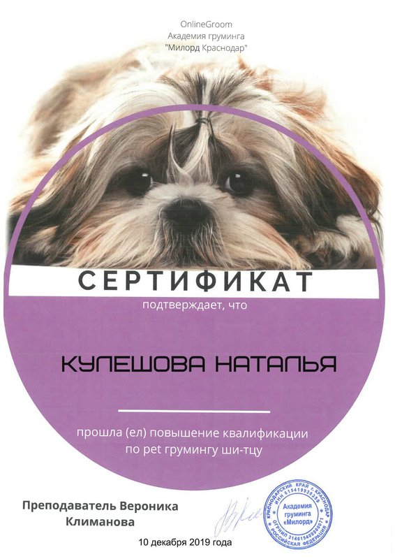 Документ или сертификат
