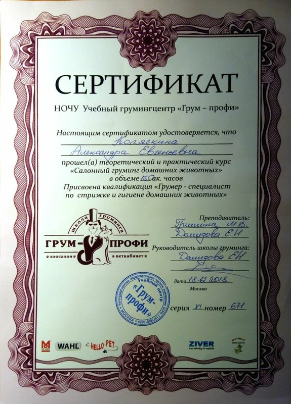Документ или сертификат
