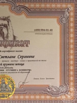 Фото врача Белавина Светлана