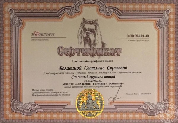 Документ или сертификат