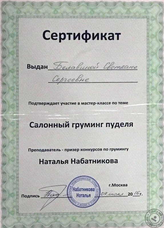 Документ или сертификат