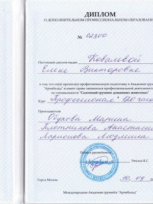 Фото «Ковалева Елена»