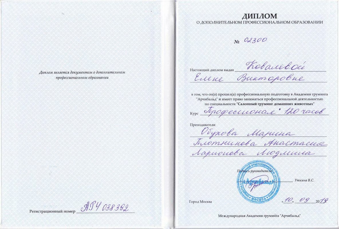 Документ или сертификат