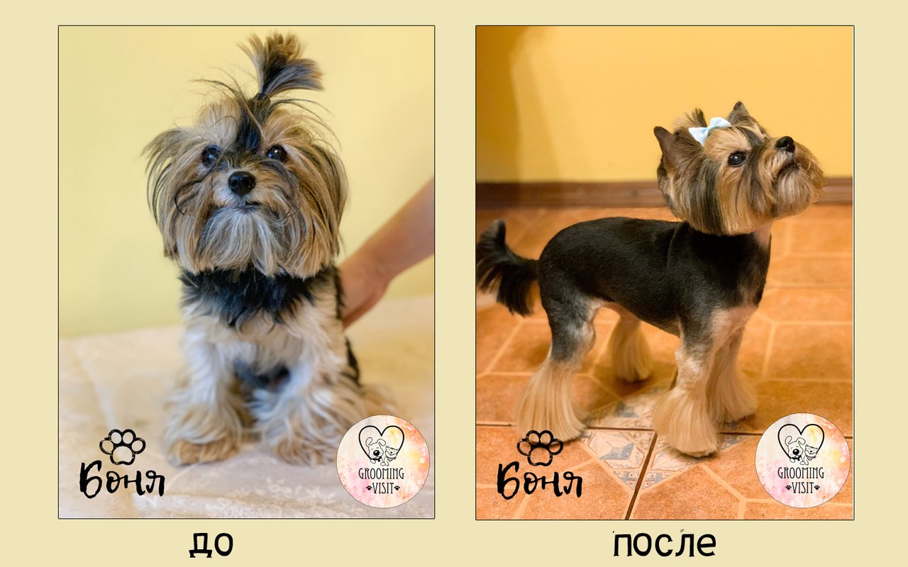 Фото врача