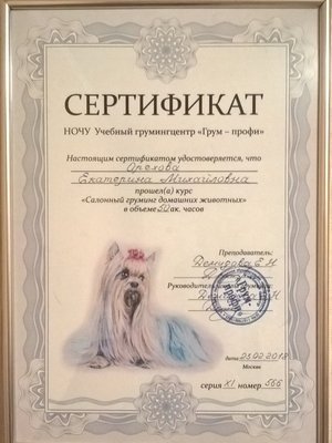 Фото врача Екатерина О.