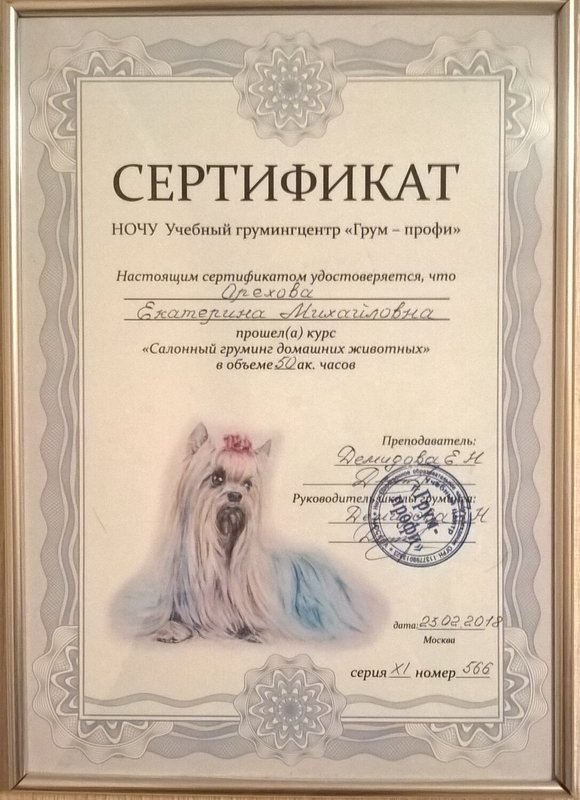 Документ или сертификат