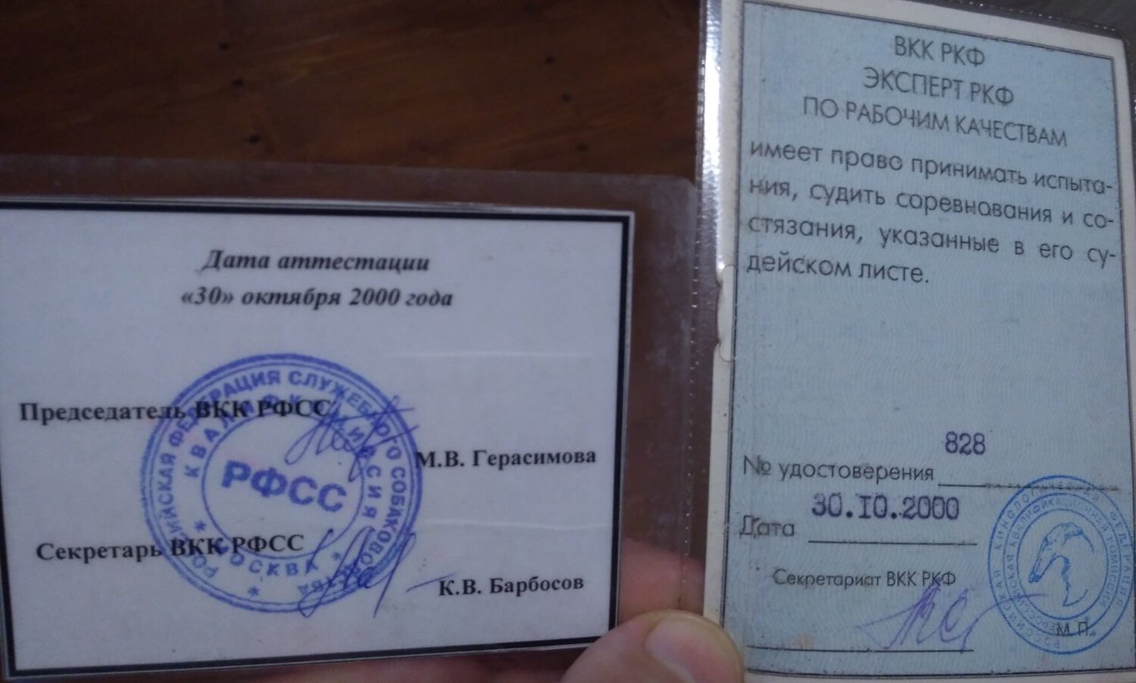 Документ или сертификат