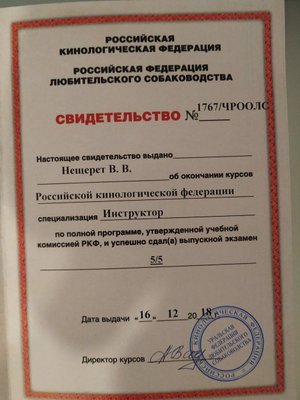 Фото врача Виктория Н.