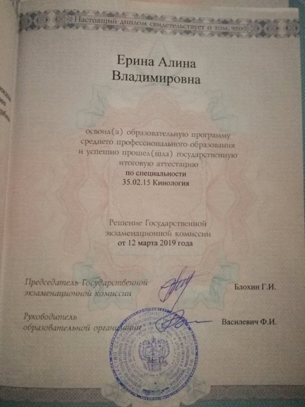 Документ или сертификат