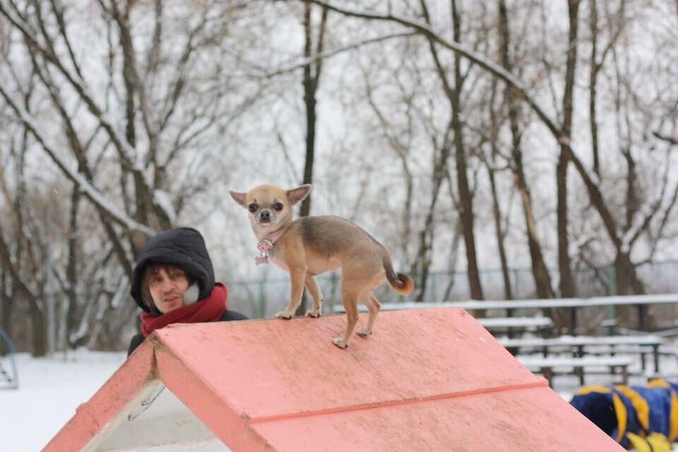 Фото врача