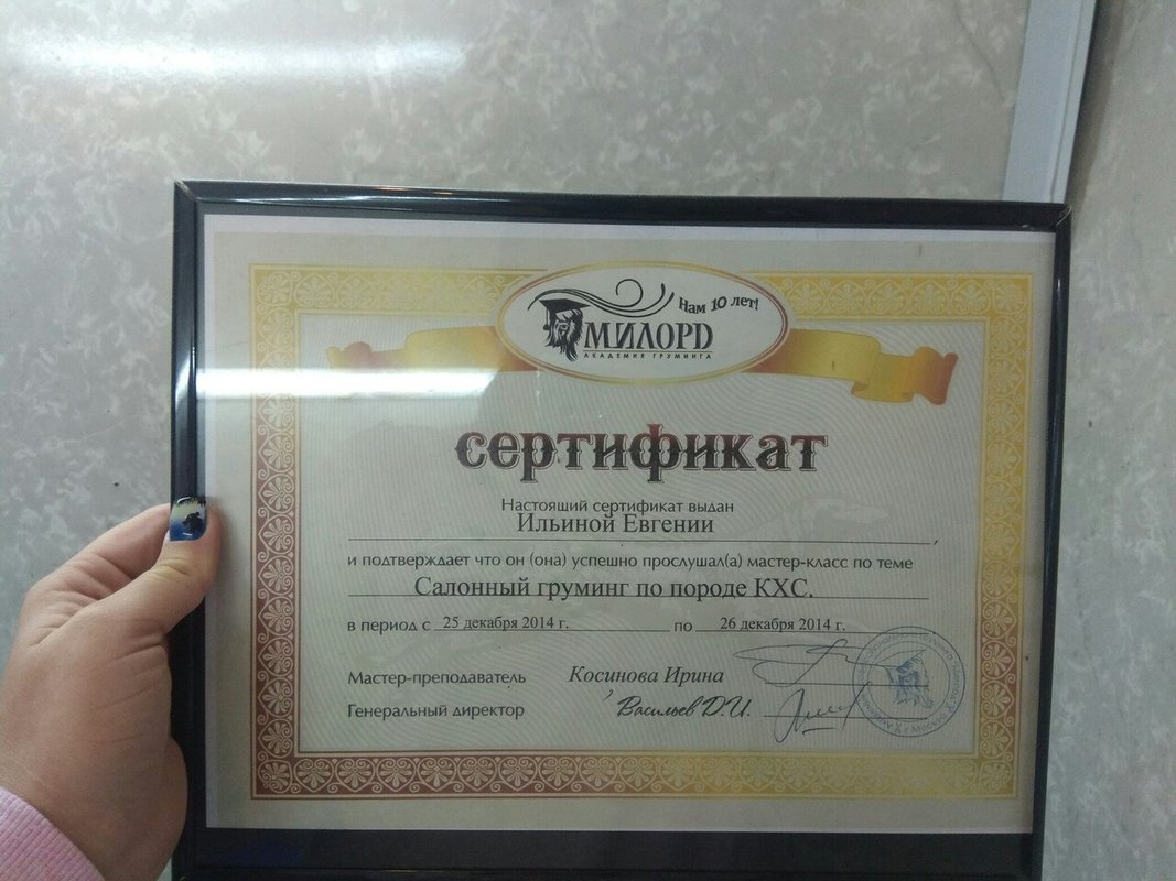 Документ или сертификат