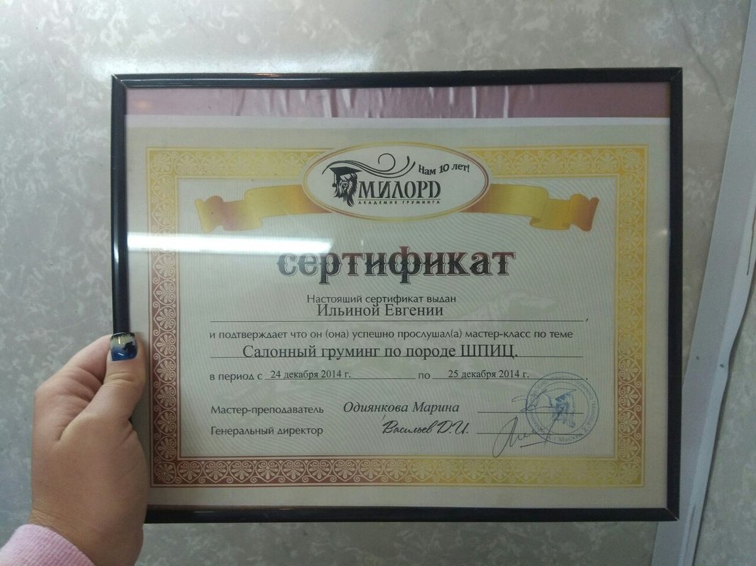 Документ или сертификат
