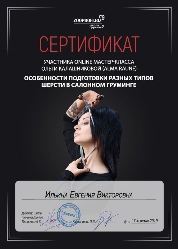 Документ или сертификат