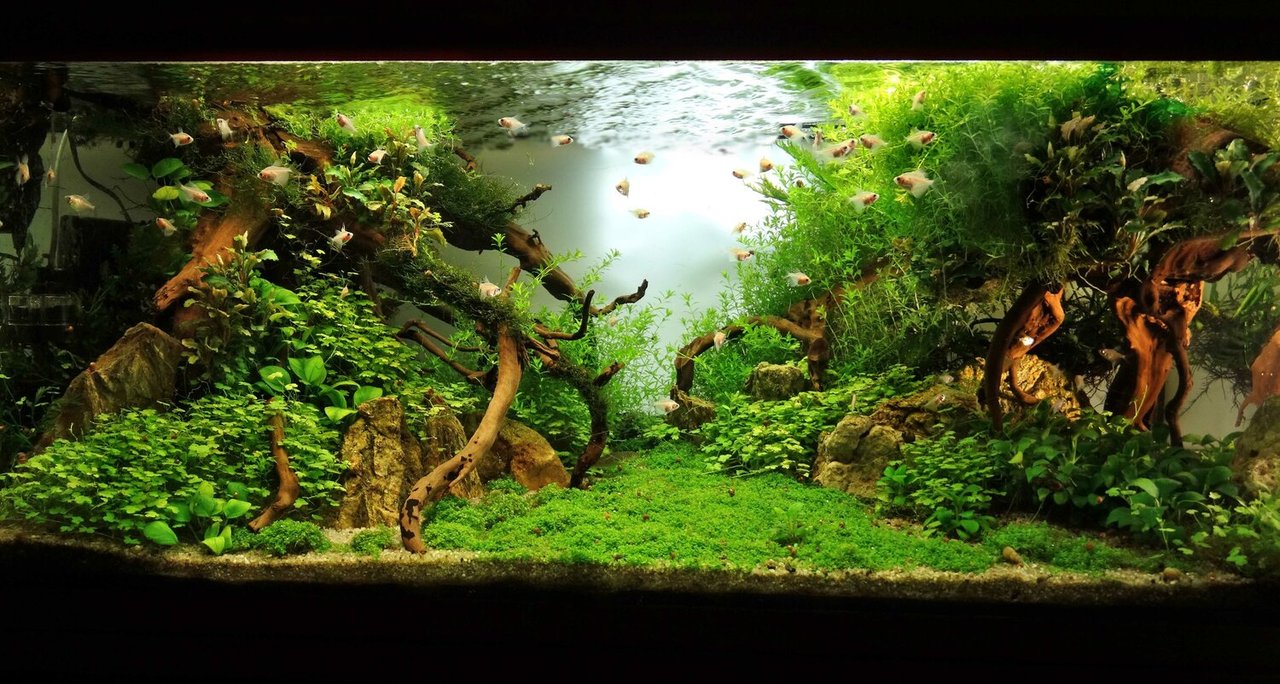 Фото врача