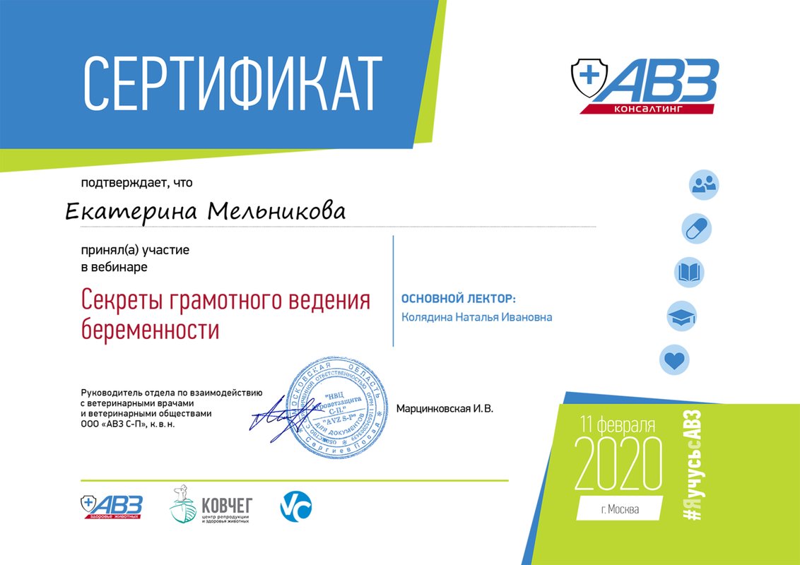 Документ или сертификат