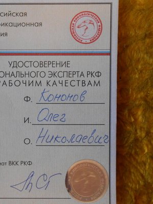 Фото врача Кононов Олег