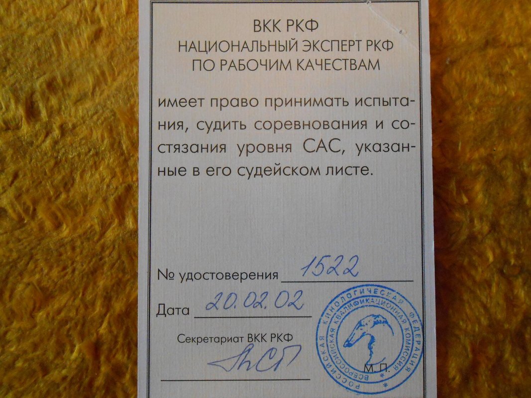 Документ или сертификат