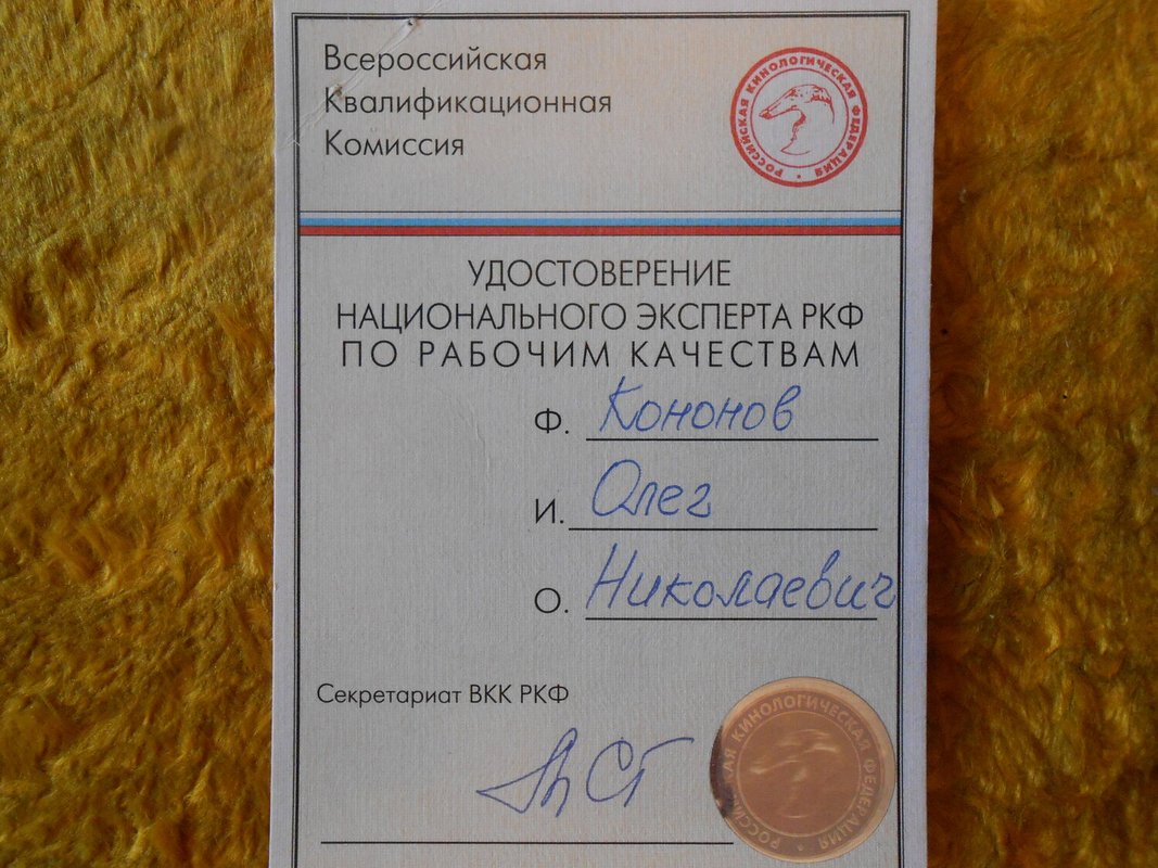 Документ или сертификат