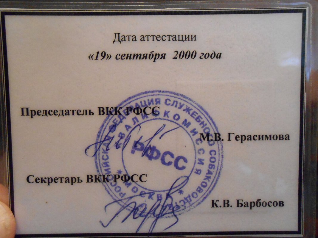 Документ или сертификат