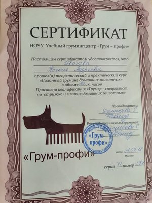 Фото врача И. Ксения Андреевна