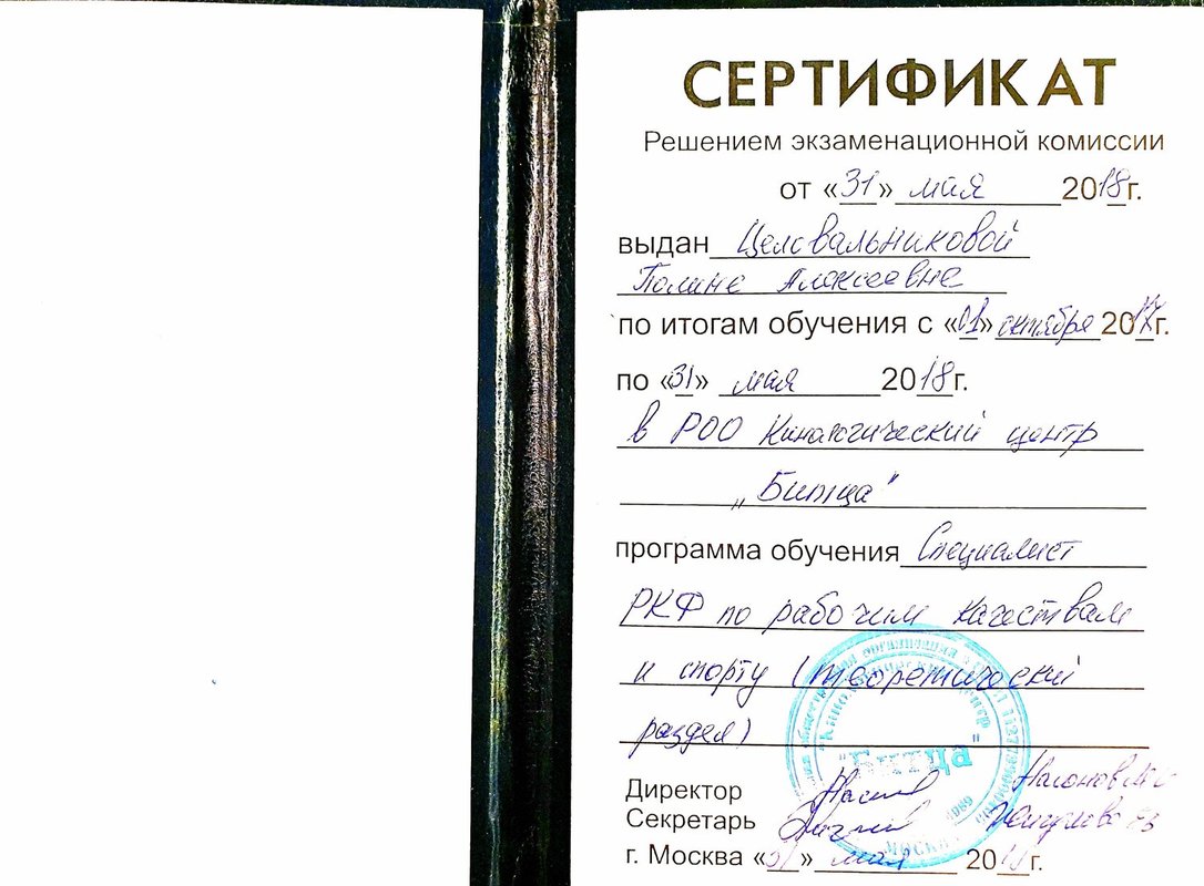 Документ или сертификат