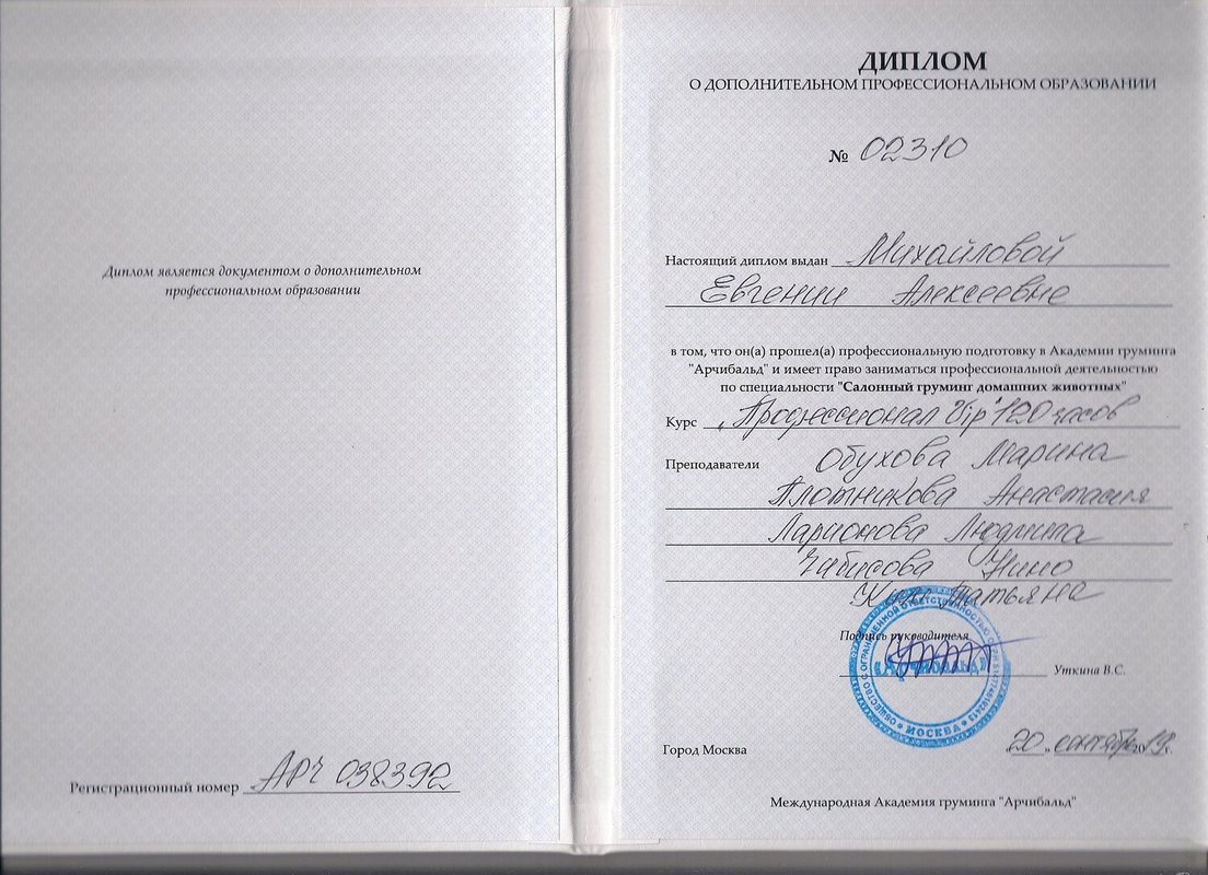 Документ или сертификат