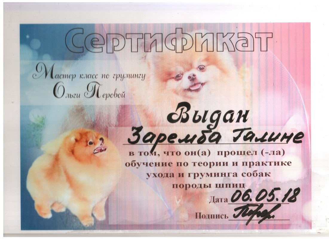 Документ или сертификат