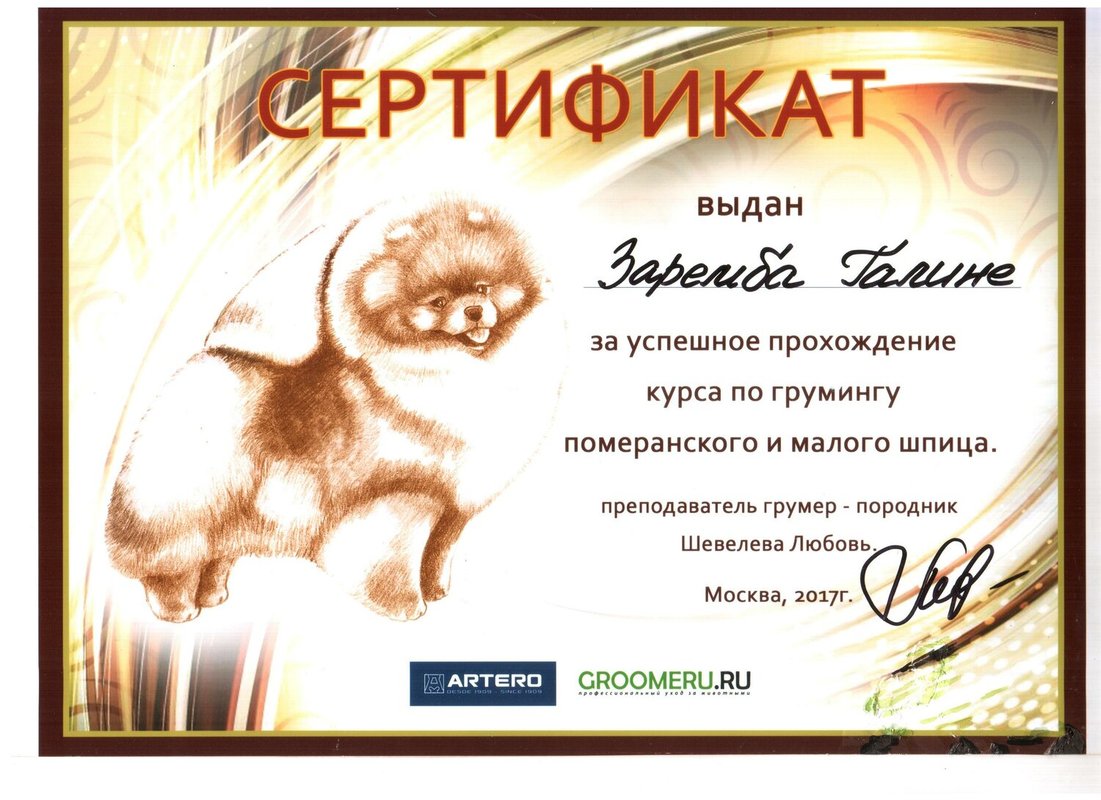 Документ или сертификат