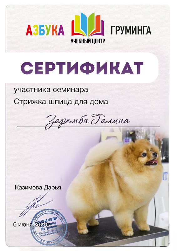 Документ или сертификат
