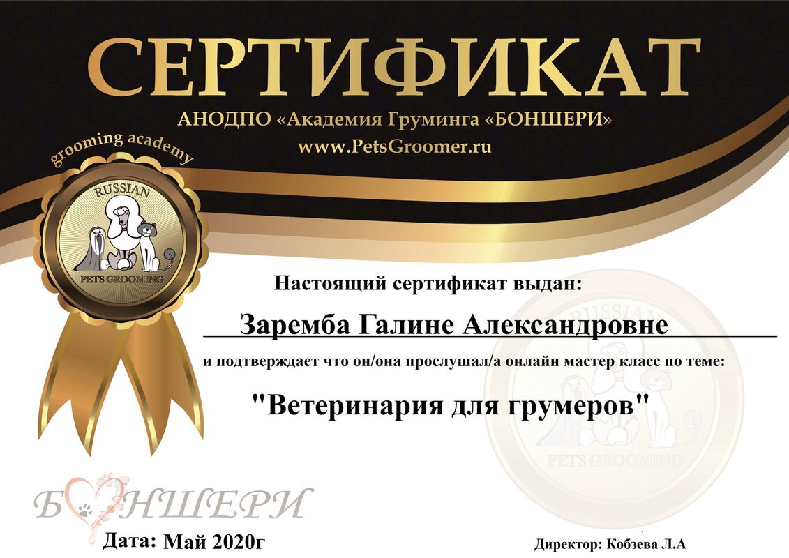 Документ или сертификат