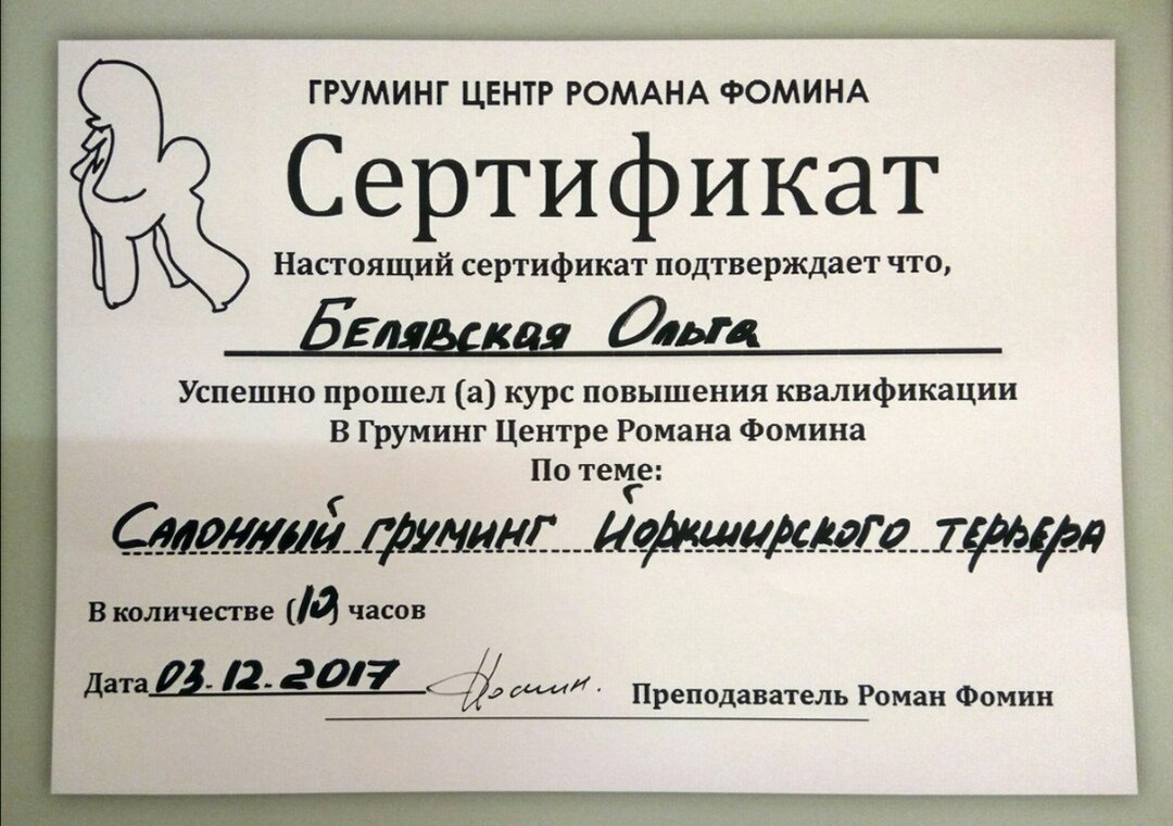 Документ или сертификат
