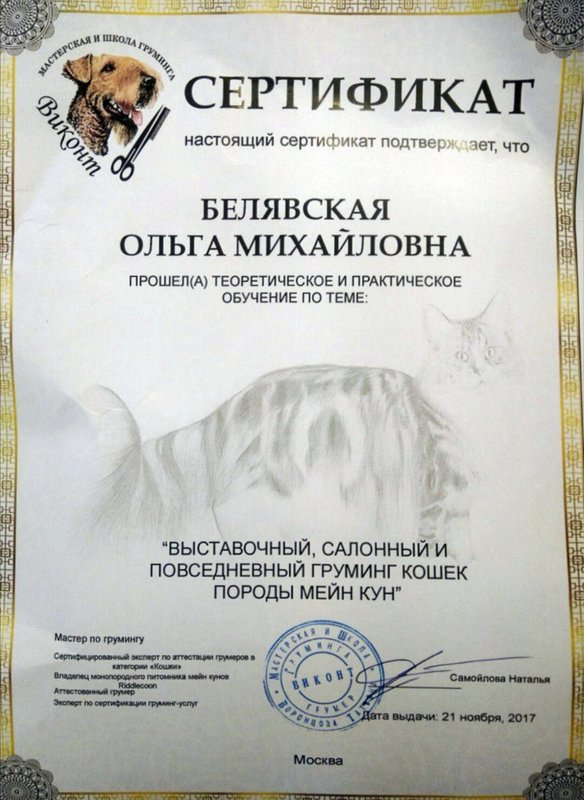 Документ или сертификат