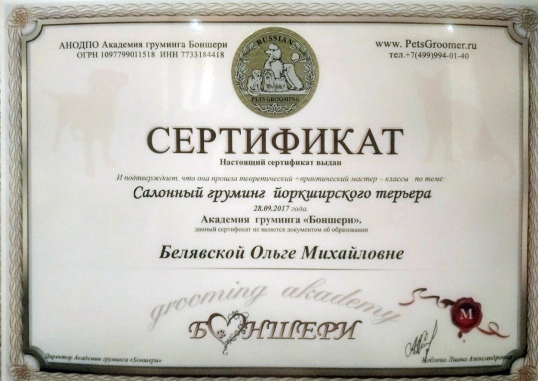 Документ или сертификат