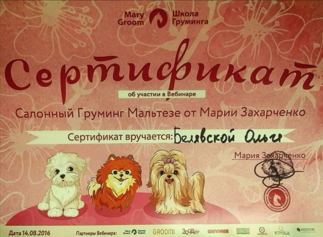 Документ или сертификат