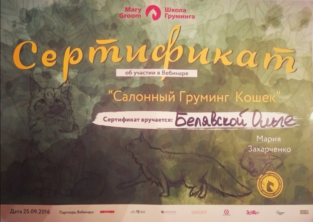 Документ или сертификат