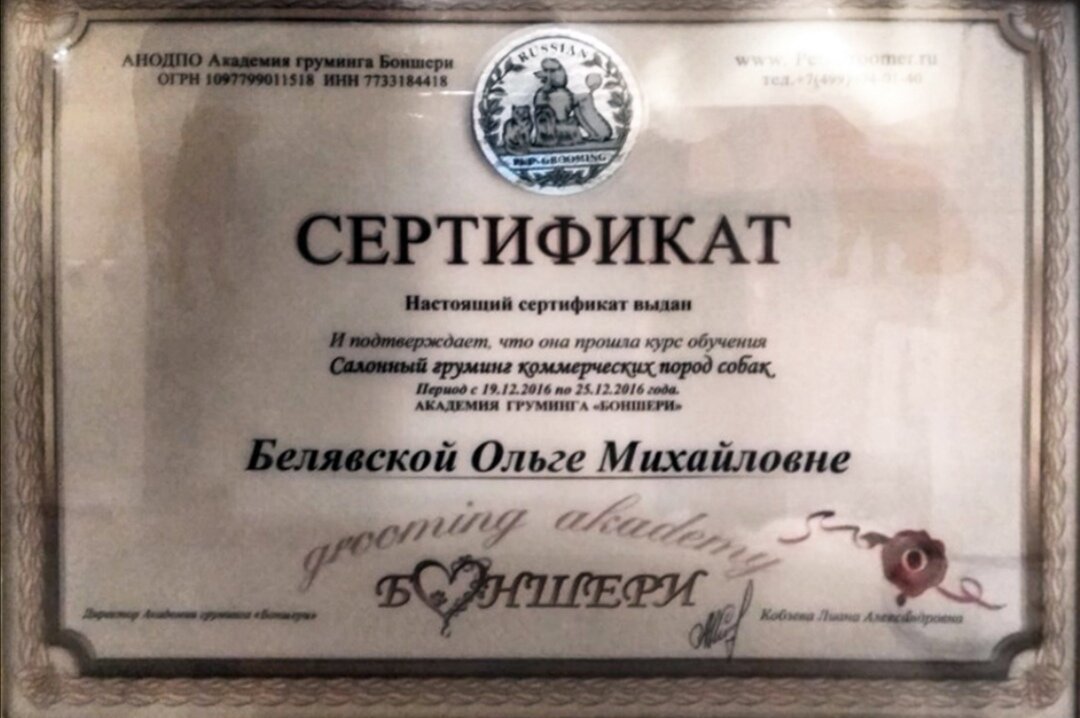 Документ или сертификат