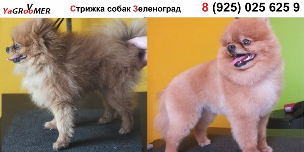 Фото врача