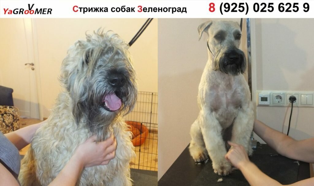 Фото врача