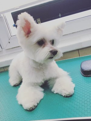 Фото врача Стрижакова Надежда