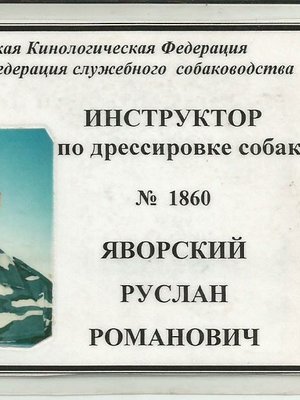 Фото врача Яворский Руслан Романович
