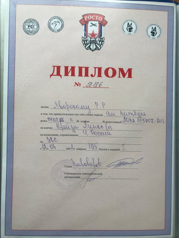 Документ или сертификат